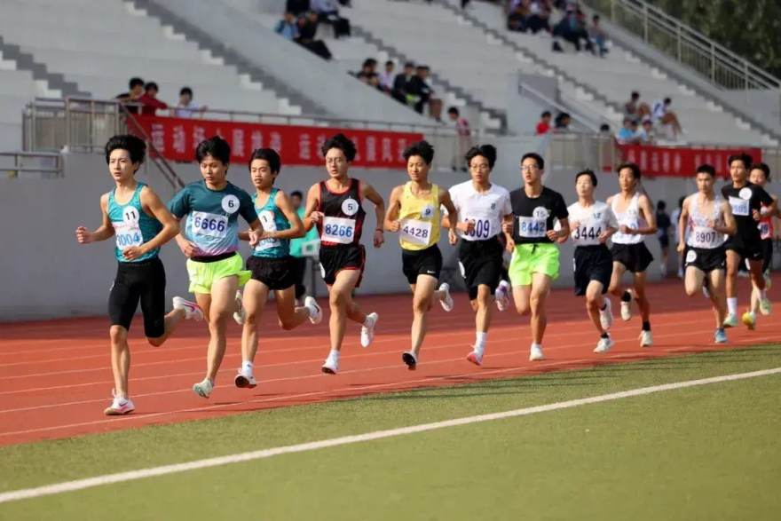 业余球场草皮养护指南：从秋季到冬季的过渡